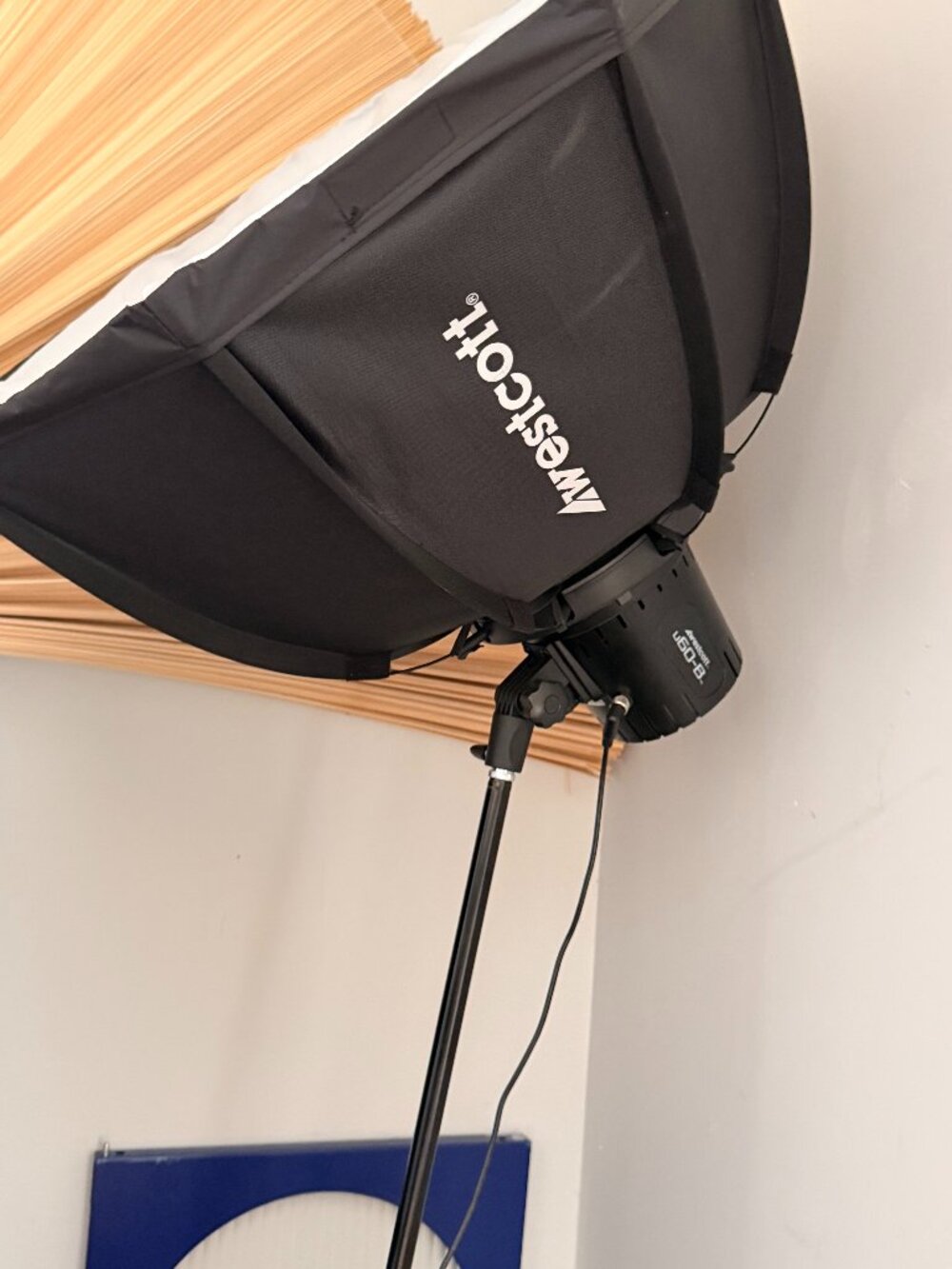 Westcott U60-B Bi-Color LED Monolight with Octabox (1-Light Kit)